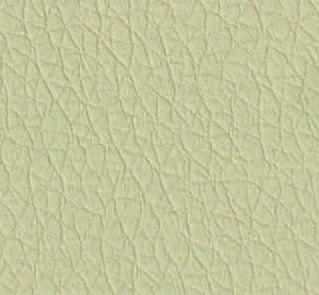 Beige TRP12